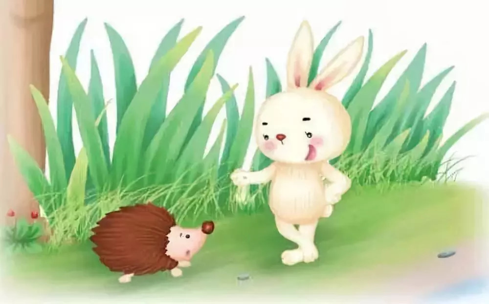 小刺猬是怎么睡的