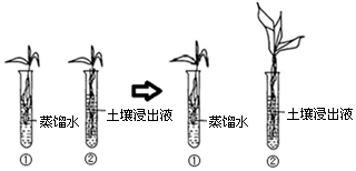 孕妇梦见枪生男生女