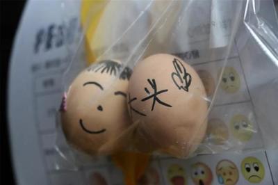 怎么写护蛋体验