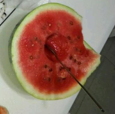 孕妇可以吃西瓜吗中期