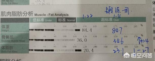 3个月能减多少斤