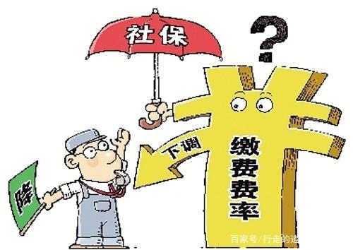 保险的案例