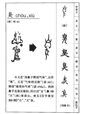 臭五行属什么