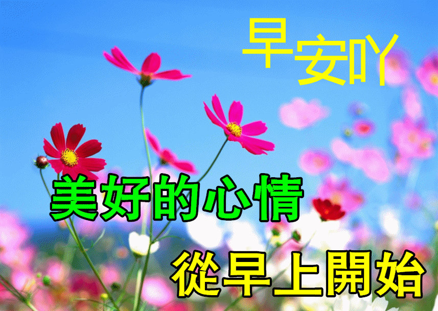 申根签证怎么再签