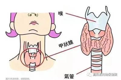 甲状腺能怀孕吗