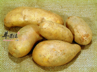 土豆什么样不能吃