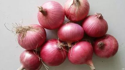 孕妇能吃洋葱吗 初期