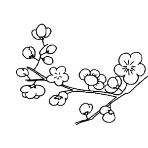 梅花树怎么画简单一点