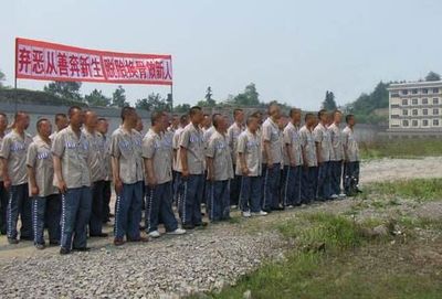 劳动教养为什么被废除