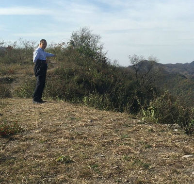 南阳风水大师