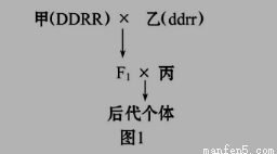 灰色地砖装修效果图