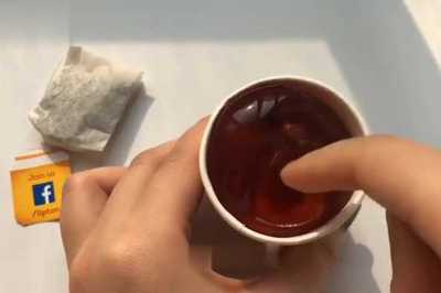 精选名茶是什么茶