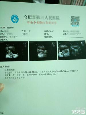 怀孕8周胎芽多大正常