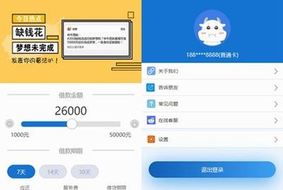 小额网络贷款平台