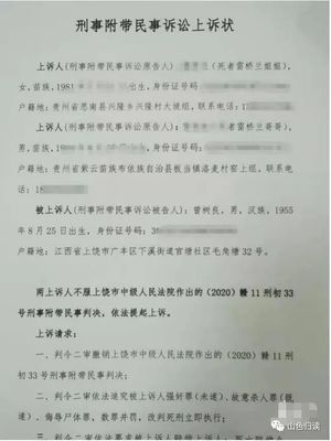 刑事附带民事上诉