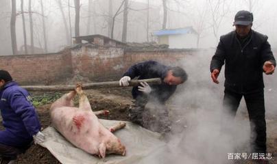 杀猪犯法吗