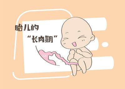 胎儿后期一周长多少斤