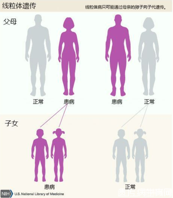 染色体会影响怀孕吗