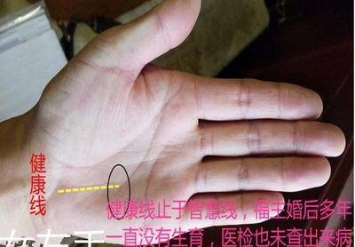 查手相看命运