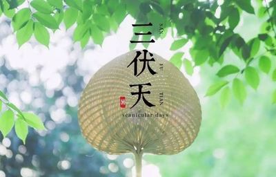 今年三伏共多少天
