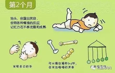 几个月宝宝会翻身