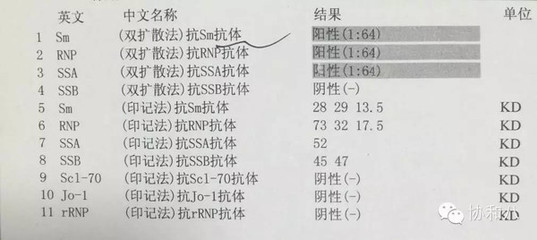 抗核抗体一共多少项