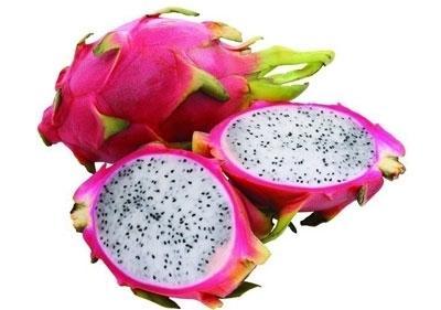 一岁宝宝可以吃火龙果