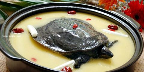 孕妇能喝甲鱼汤吗