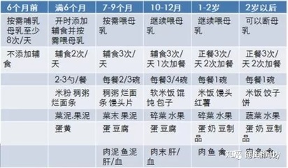 九个月宝宝一天食谱表