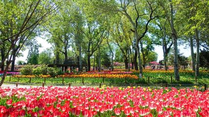 北京植物园游览攻略(北京植物园游览攻略图)
