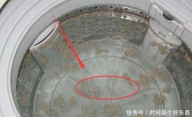 洗衣机怎么除臭