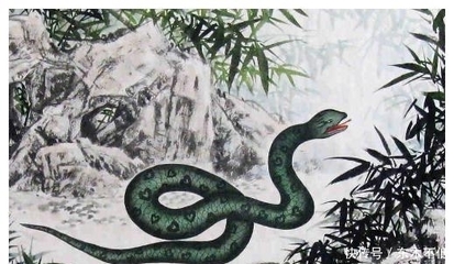 男龙女蛇婚姻是否相配