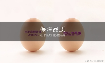 鸡蛋品牌取名字大全集