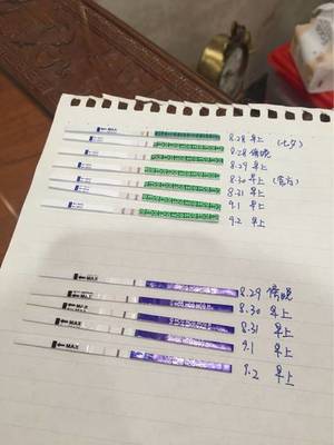 毓婷一个月能吃两次吗