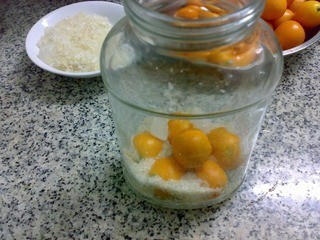 橘子泡酒的制作方法