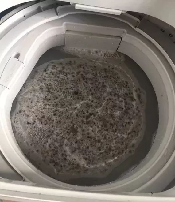 洗衣机有异味怎么回事