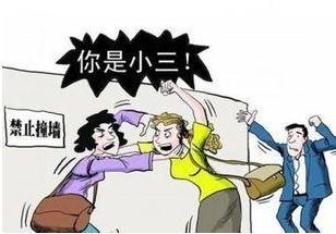 轻伤以上