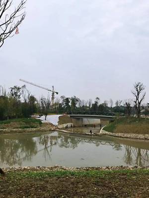 成都中和湿地最新消息