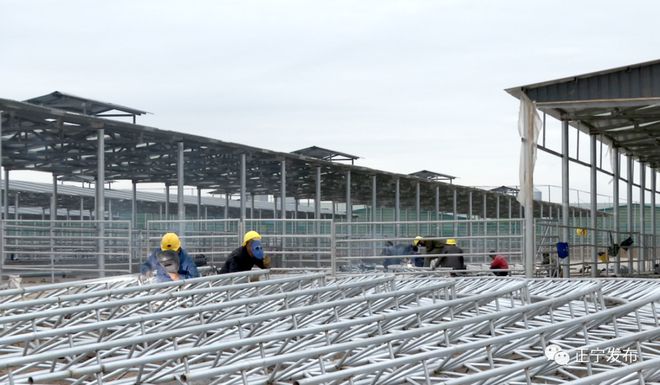 建筑工程钢结构验收报告模板（建筑工程钢结构验收报告模板怎么写）