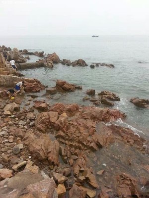 乳山哪里可以赶海