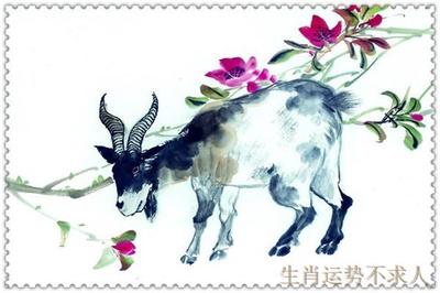 羊的三合生肖