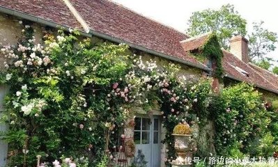 花园外