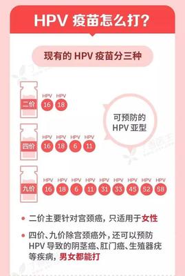 hpv疫苗一共有多少种