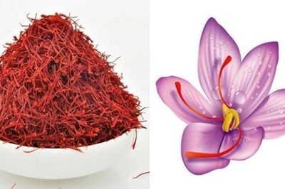 藏红花 孕妇