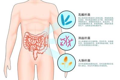 益生菌的正确吃法