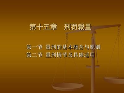 刑法适用原则