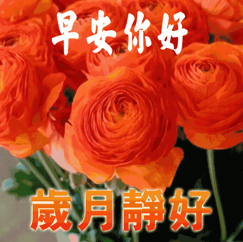 比鲜花表情包图片好看的是什么