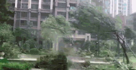 台风取名字原则
