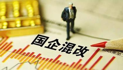国有企业的股东