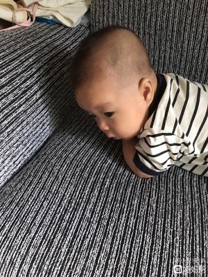三个月宝宝抬头标准图